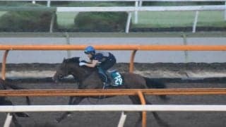 2021年セレクトセール1歳にて3億円で落札されたオープンファイアがデビュー/関西馬メイクデビュー情報