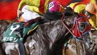 10連勝中の8歳馬が初タイトル狙う　青森県産馬ギシギシ重賞連勝へ/アフター5スター賞枠順確定