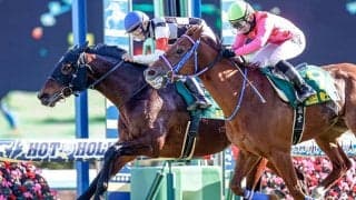 【地方競馬】金沢競馬の魚住謙心騎手が地方通算100勝を達成