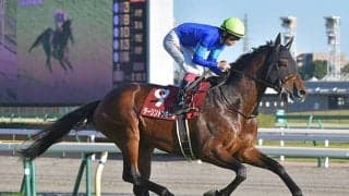 【京成杯AH想定騎手】ダーリントンホールは横山武史騎手、ファルコニアは吉田隼人騎手