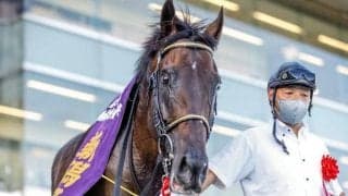 距離を戻して2つめの重賞獲得　天皇賞・秋も楽しみなカラテの血統