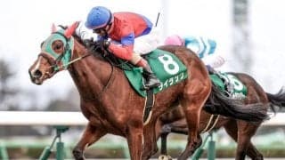 【紫苑S展望】秋華賞トライアル、あの馬の巻き返しを期待したい