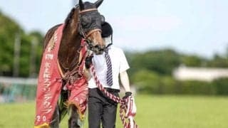 【セントウルS予想オッズ】メイケイエールが予想1番人気