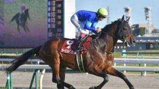 【京成杯AH予想オッズ】ダーリントンホールが予想1番人気