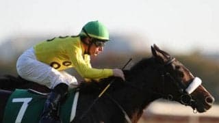 【紫苑S予想オッズ】サークルオブライフが予想1番人気