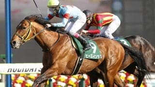 種牡馬インクルードが死亡 米G1馬多数輩出や日本馬の母父としても活躍