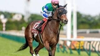 【セントウルS展望】スプリンターズSの前哨戦、1番人気は10年連続で連対中