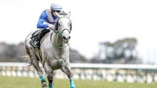 外ラチへ逃避しながらOP勝利　芦毛の個性派牝馬が1年5か月ぶりの東京ダートに挑戦