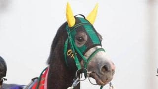 【大井・東京記念注目馬】伝統の2400m戦　1着賞金3200万を懸け15頭の長距離巧者が覇を競う