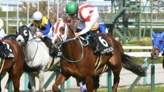 『裸足のシンデレラ』の孫が京都大賞典で重賞初制覇を目指す