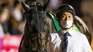 ソリストサンダーは吉田隼人騎手とのコンビでマイルCS南部杯へ　かしわ記念2年連続2着などダート路線で活躍中