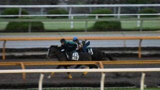 セイウンハーデス、セントライト記念1週前追い切り速報/栗東トレセンニュース