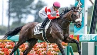 3億円馬ダノンザタイガーは東京スポーツ杯2歳Sへの参戦を予定
