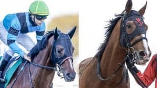オニャンコポンなど牡馬クラシックを賑わせる実績馬が参戦予定/セントライト記念出走想定馬
