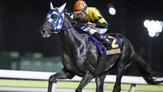 【大井・東京記念結果】ランリョウオーが初の2400mをこなして4連勝