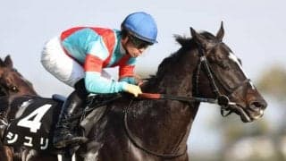 【京成杯AH展望】オール野芝の開幕週に行われるマイル重賞、近年は特に前残りの傾向