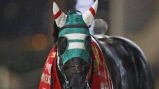 【大井・アフター5スター賞注目馬】10連勝中の上がり馬と重賞実績馬が激突　少数精鋭の豪華メンバー集う