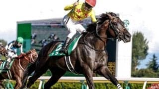【次走】カラテは天皇賞・秋へ 毎日王冠を挟むかは未定