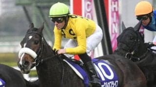 【紫苑S出走馬・騎手確定】サークルオブライフ＆M.デムーロ騎手、スタニングローズ＆坂井瑠星騎手など12頭