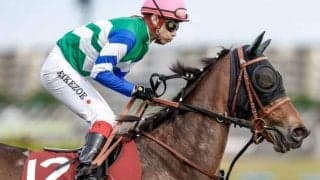 【セントウルS出走馬・騎手確定】メイケイエール＆池添謙一騎手、ソングライン＆ルメール騎手など13頭