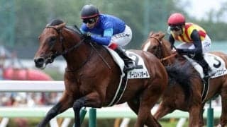 【京成杯AH出走馬・騎手確定】ダーリントンホール＆横山武史騎手、ファルコニア＆吉田隼人騎手など14頭