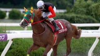 【園田オータムT結果】エコロクラージュがデビュー無傷の6連勝で重賞初V