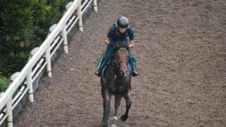 【JRA新馬戦】スマートレイアーの初仔スマートジェイナなどがデビュー