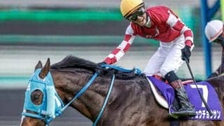 【次走】11歳馬が障害GI・10勝目へ 障害王者オジュウチョウサンは東京HJから中山大障害に向かう