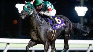 【大井・アフター5スター賞結果】プライルードが古馬との初対決を3馬身半差で制す