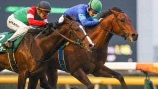 【京成杯AH枠順確定】ダーリントンホールは5枠8番、ファルコニアは7枠11番