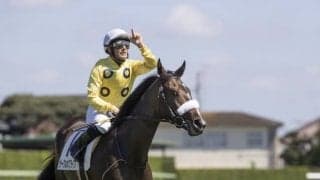 【紫苑S枠順確定】スタニングローズは8枠12番、サークルオブライフは2枠2番