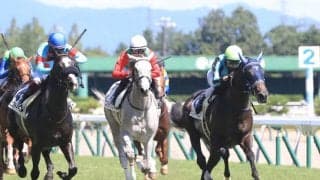 【新馬/新潟5R】エピファネイア産駒 テンカノギジンがデビューV