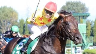 【新潟記念】菅原明「思い入れがある馬」カラテが重賞2勝目