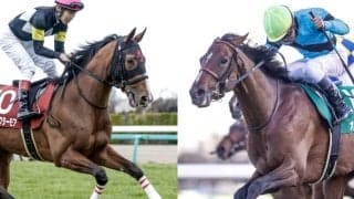 オニャンコポンは菅原明良騎手、アスクビクターモアは田辺裕信騎手が騎乗予定/セントライト記念出走想定馬