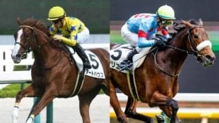 秋華賞トライアルに無傷2連勝の良血馬が登録予定/ローズS出走想定馬