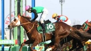 京成杯オータムハンデは今年も荒れる。穴党記者が「楽しみ」という２頭で高配当ゲットへ