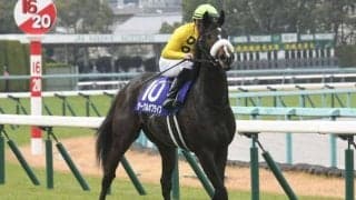 【紫苑S予想】秋の飛躍へ向け有力牝馬集う重要な一戦