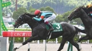 セントウルＳは「逃げ」が得意な２頭に期待。人気薄馬だが、種牡馬のコース成績が波乱を予感させる