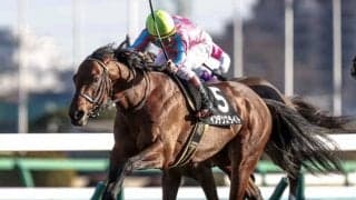 【京成杯AH予想】12番人気「激走」のヒントは…。もう迷わない「勝ち馬の選び方」