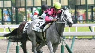 【中京5R新馬戦結果】スマートレイアーの初仔スマートジェイナが快勝