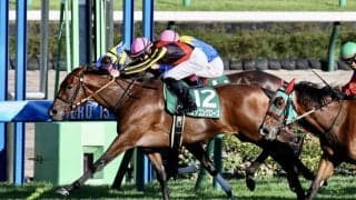 【紫苑S】スタニングローズが復帰戦を制する