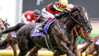 【セントウルS予想】両雄並び立たず!? メイケイエール、ソングライン、明暗分けるのは適性の差か…？