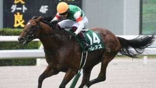 【京成杯AH前日オッズ】ベレヌスが5.2倍で1番人気