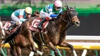 【セントウルS前日オッズ】メイケイエールが1.8倍で1番人気