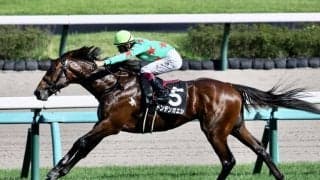 【アスター賞】ドンデンガエシが連勝！シテイタイケツは末脚不発に