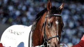 【今日の注目ポイント】重賞はセントウルSと京成杯AH　深夜には凱旋門賞の前哨戦も