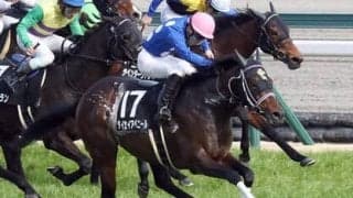 セントウルＳで２強に割って入るのは？　穴党記者は激アツの穴馬２頭に熱視線