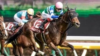【セントウルS予想】秋GI初戦に向けての重要なステップ 過去の傾向よりもコース適性を重視