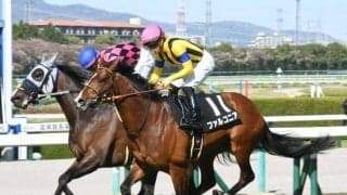 【京成杯オータムH予想】人気馬・トップハンデ馬共に苦戦傾向続くサマーマイルシリーズ最終戦