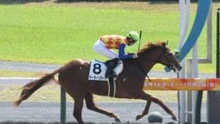 【中京4R新馬戦結果】6番人気テーオーリカードが抜け出してデビューV